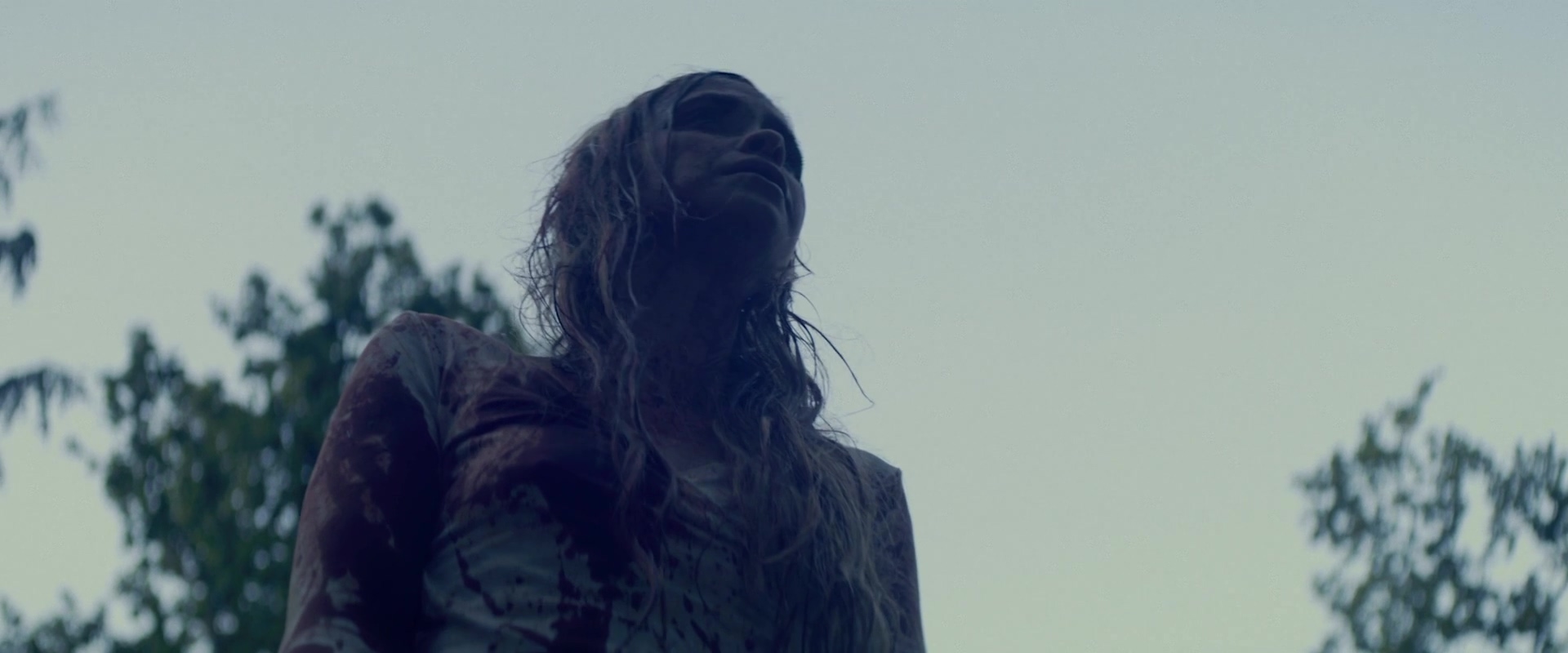 2025 大力水手的复仇 Popeyes Revenge.mkv_20250603_111610.244.jpg