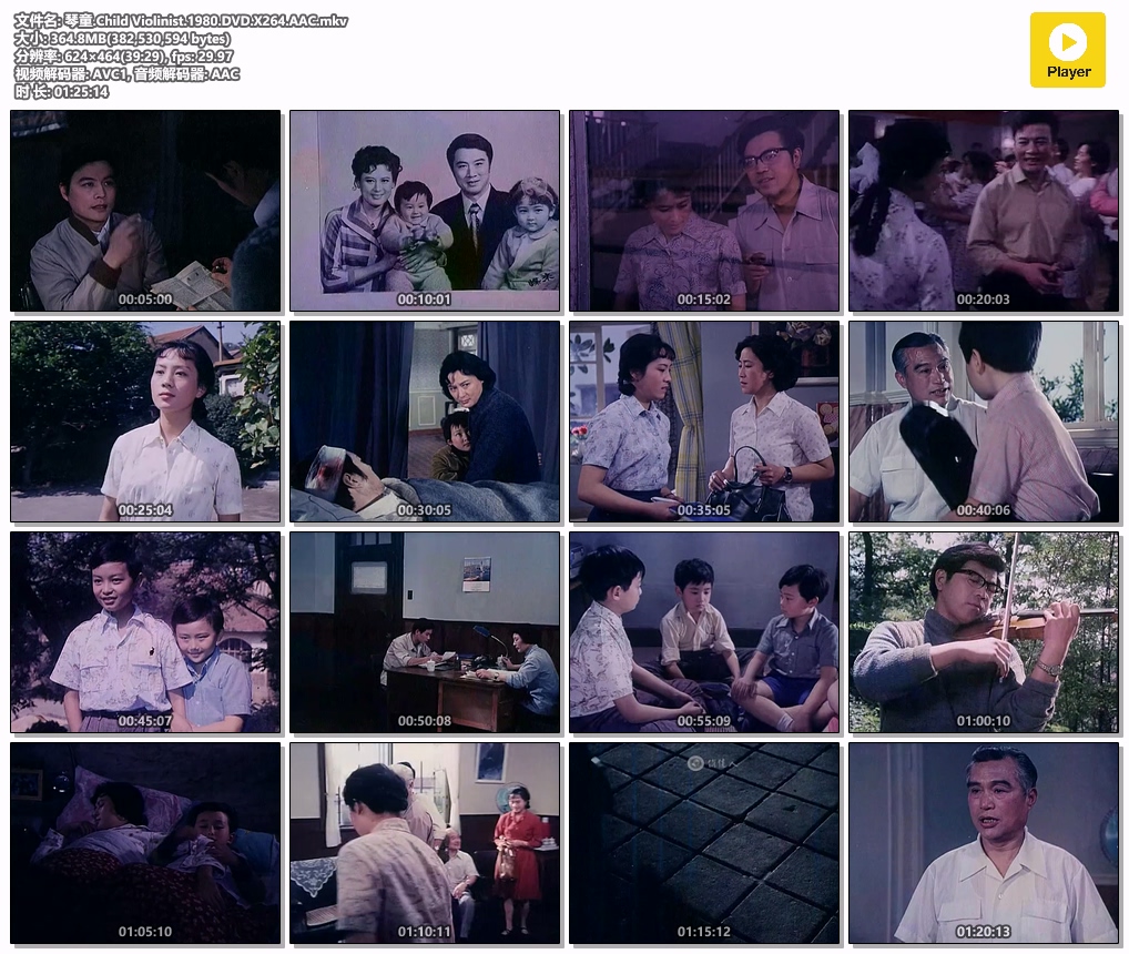 琴童.Child Violinist.1980.DVD.X264.AAC.mkv.jpg