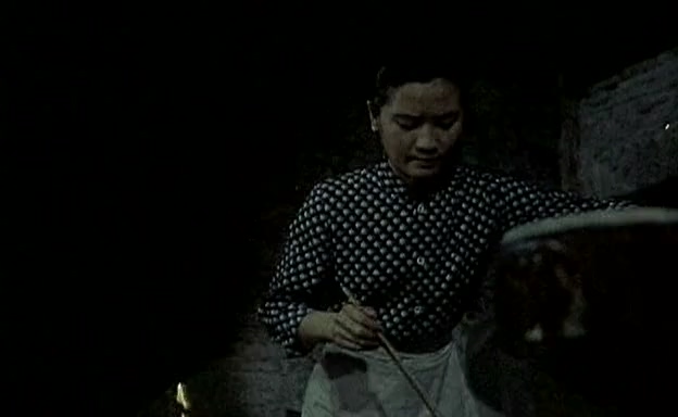 孤岭野店.Wild Mountain Inn.1988.DVD.X264.AAC.mkv_20250604_225338.268.jpg