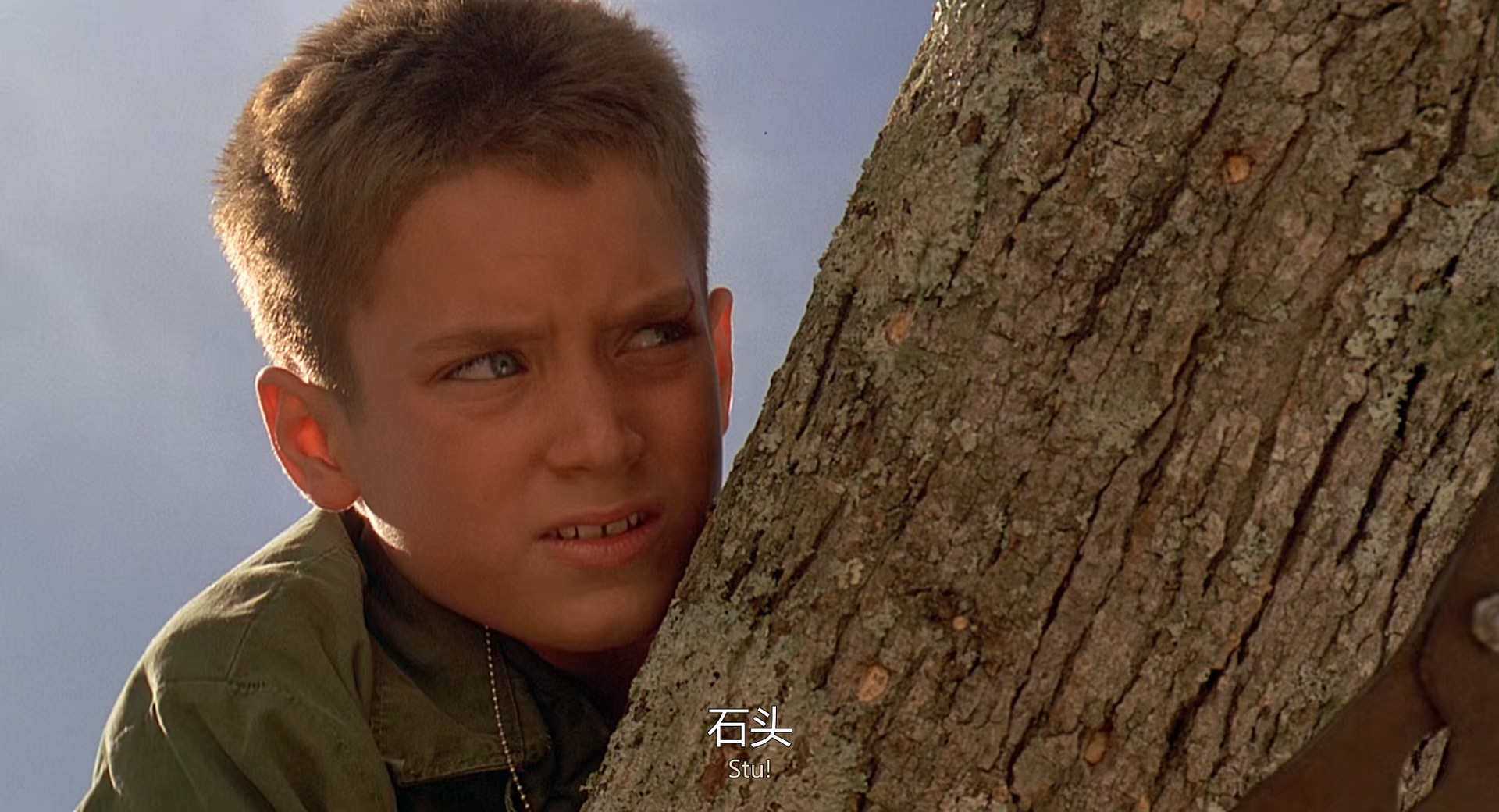 树屋上的童真 战争 (1994) 1080p [AAC, AAC] [zho, eng] h265.mkv_20250605_224935.155.jpg