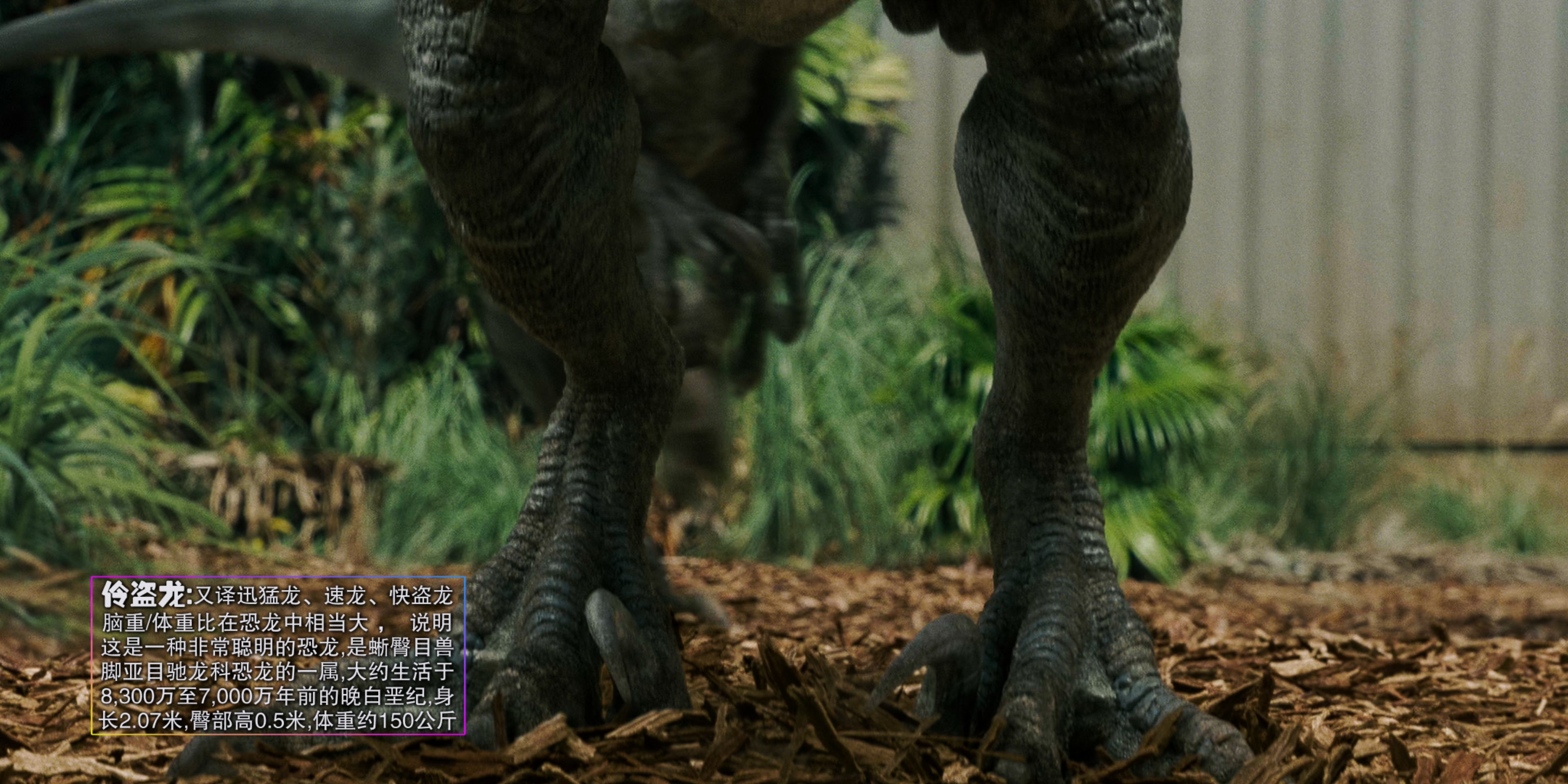 Jurassic.World.2015.BluRay.2160p.x265.10bit.HDR.4Audio.mUHD-FRDS.mkv_20250606_09.jpg