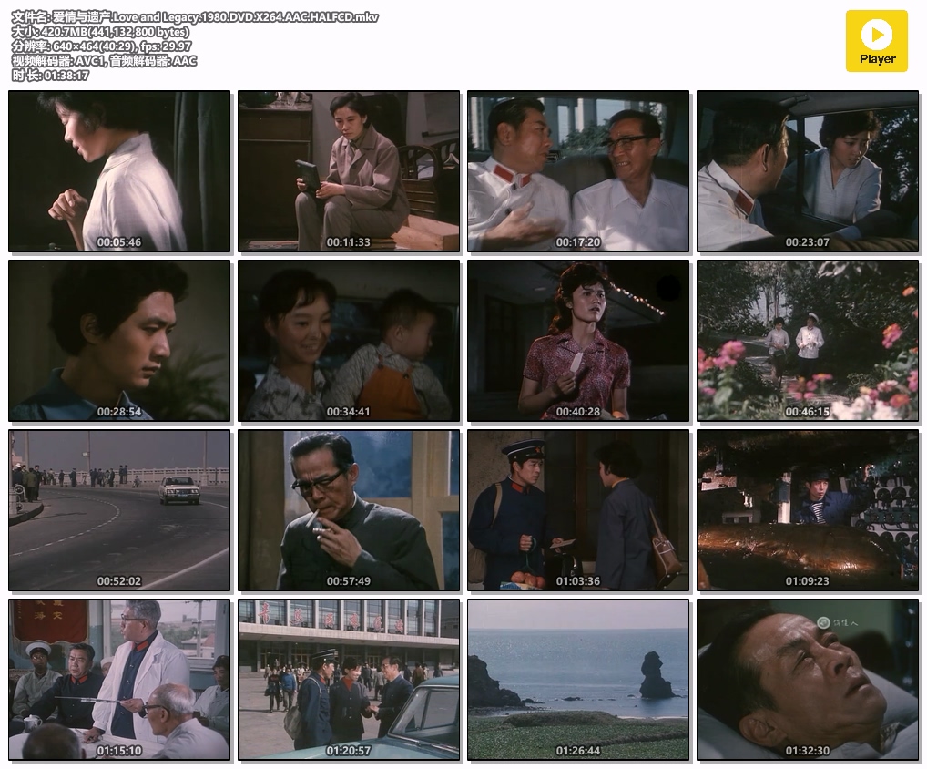 爱情与遗产.Love and Legacy.1980.DVD.X264.AAC.HALFCD.mkv.jpg