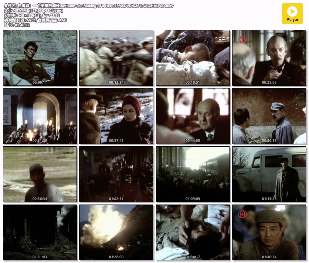 白求恩：一个英雄的成长.Bethune The Making of a Hero.1990.DVD.X264.AAC.HALFCD.mkv.jpg