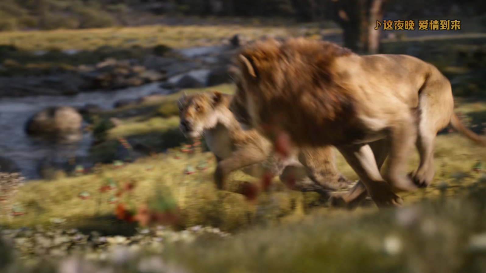 狮子王The.Lion.King.2019.1080p.10bit.BluRay.8CH.x265.HEVC3audio特效字幕-PSA.mkv_.jpg