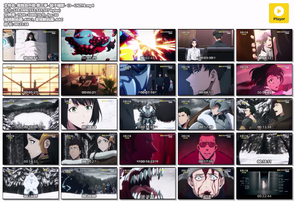 我独自升级 第二季 -起于暗影- 13 - LNZYB.mp4.jpg