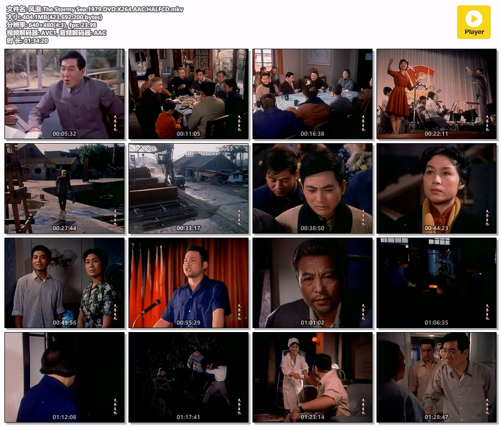 风浪.The Stormy Sea.1979.DVD.X264.AAC.HALFCD.mkv.jpg