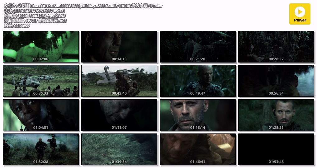 太阳泪.Tears.Of.The.Sun.2003.1080p.BluRay.x265.4audio-RARBG特效字幕 (1).mkv.jpg