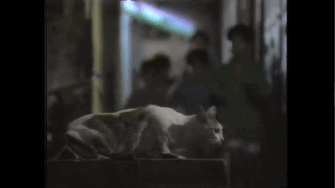 QQ截图20250610191514 (1).png