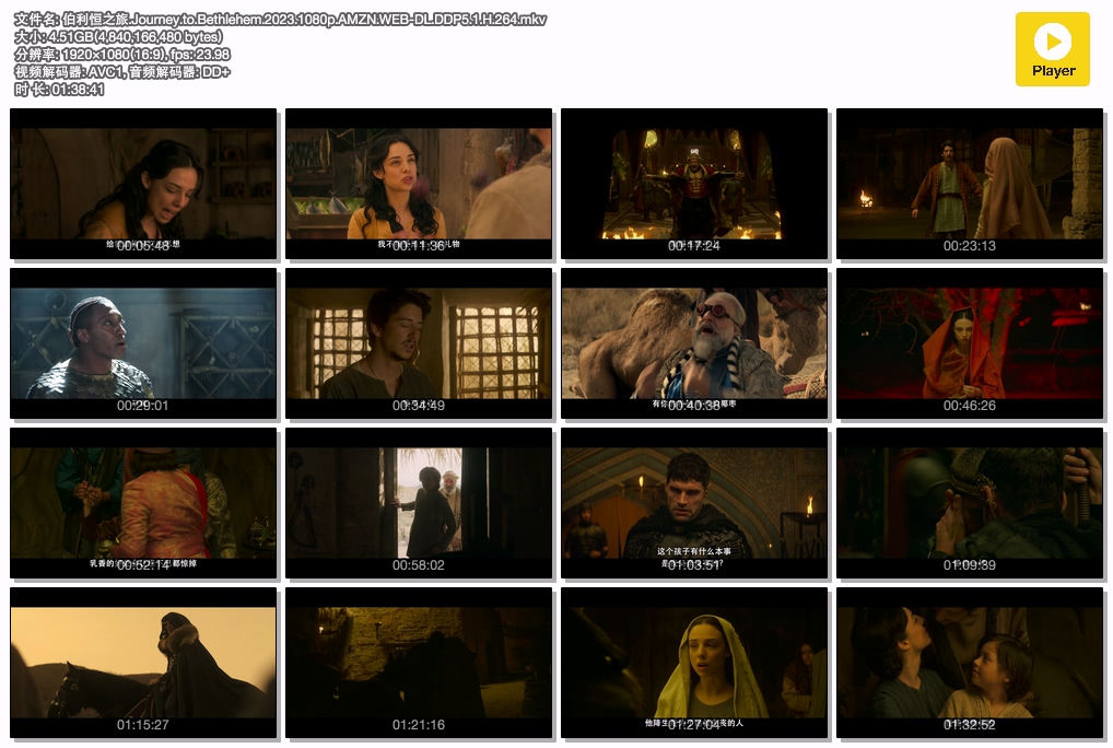 伯利恒之旅.Journey.to.Bethlehem.2023.1080p.AMZN.WEB-DL.DDP5.1.H.264.mkv.jpg