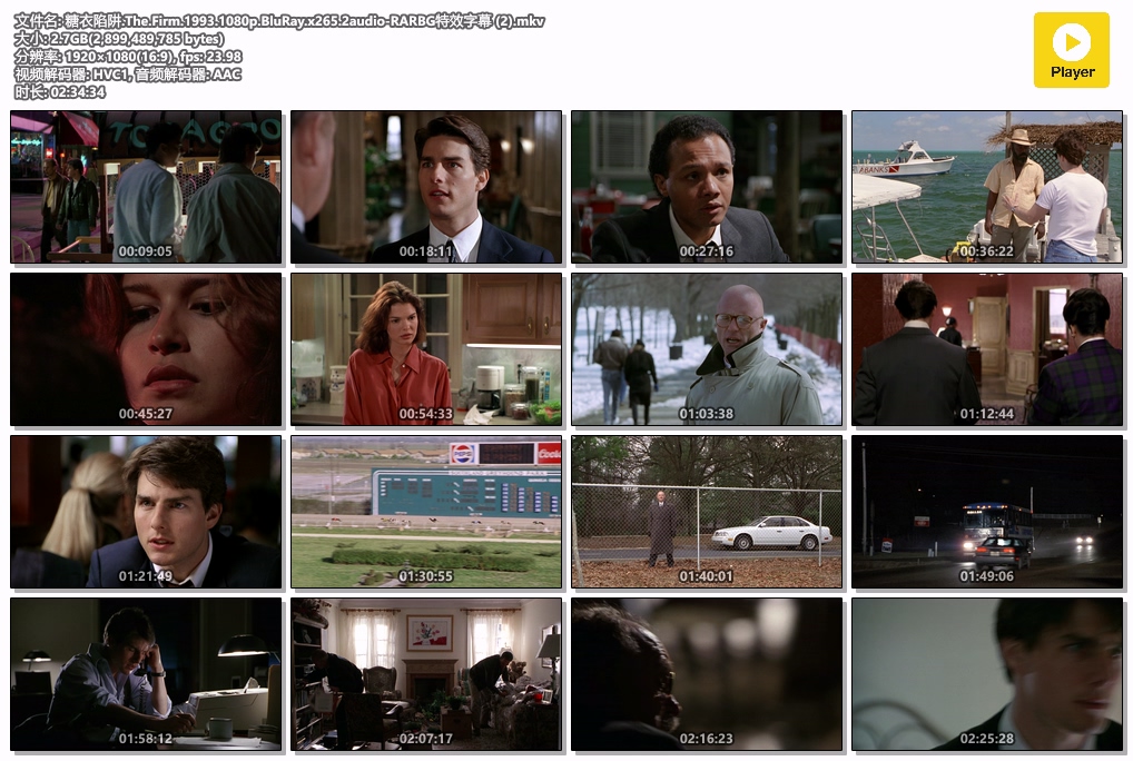糖衣陷阱.The.Firm.1993.1080p.BluRay.x265.2audio-RARBG特效字幕 (2).mkv.jpg