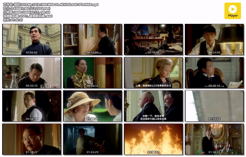 我的1919.My.1919.1999.WEB-DL.4K.H265.AAC-PTerWEB.mp4.jpg