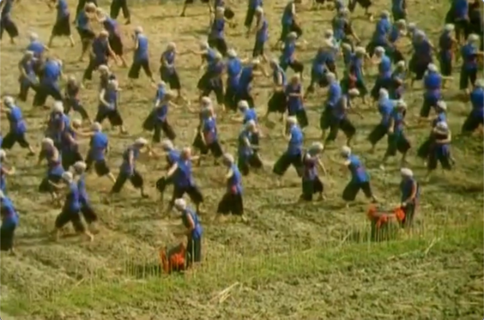 截屏2025-06-11 14.26.40.jpeg