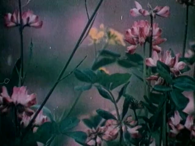 赵钱孙李.zhao qian sun li.1982.DVD.X264.AAC.HALFCD(0：-)-.mkv_20250611_193348.496.jpg