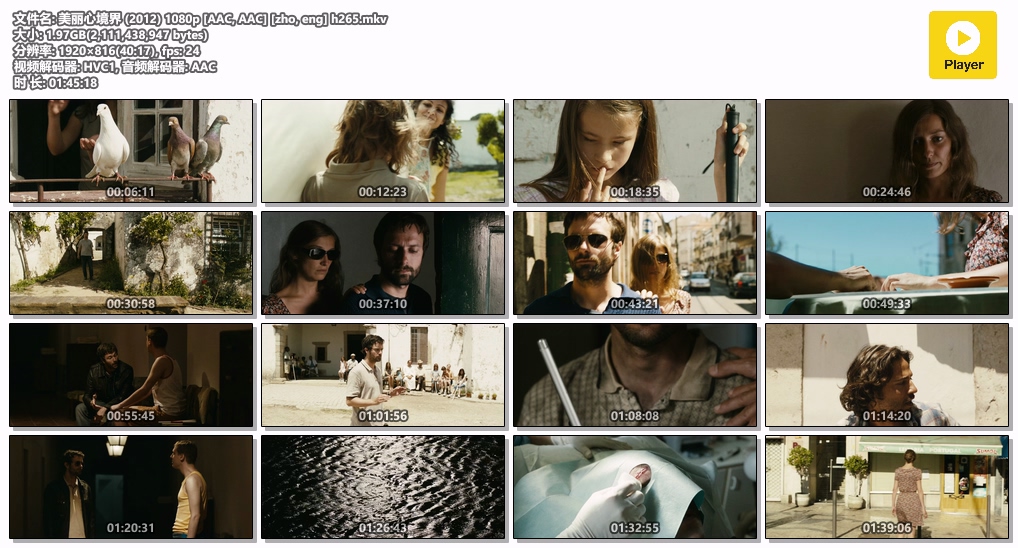 美丽心境界 (2012) 1080p [AAC, AAC] [zho, eng] h265.mkv.jpg