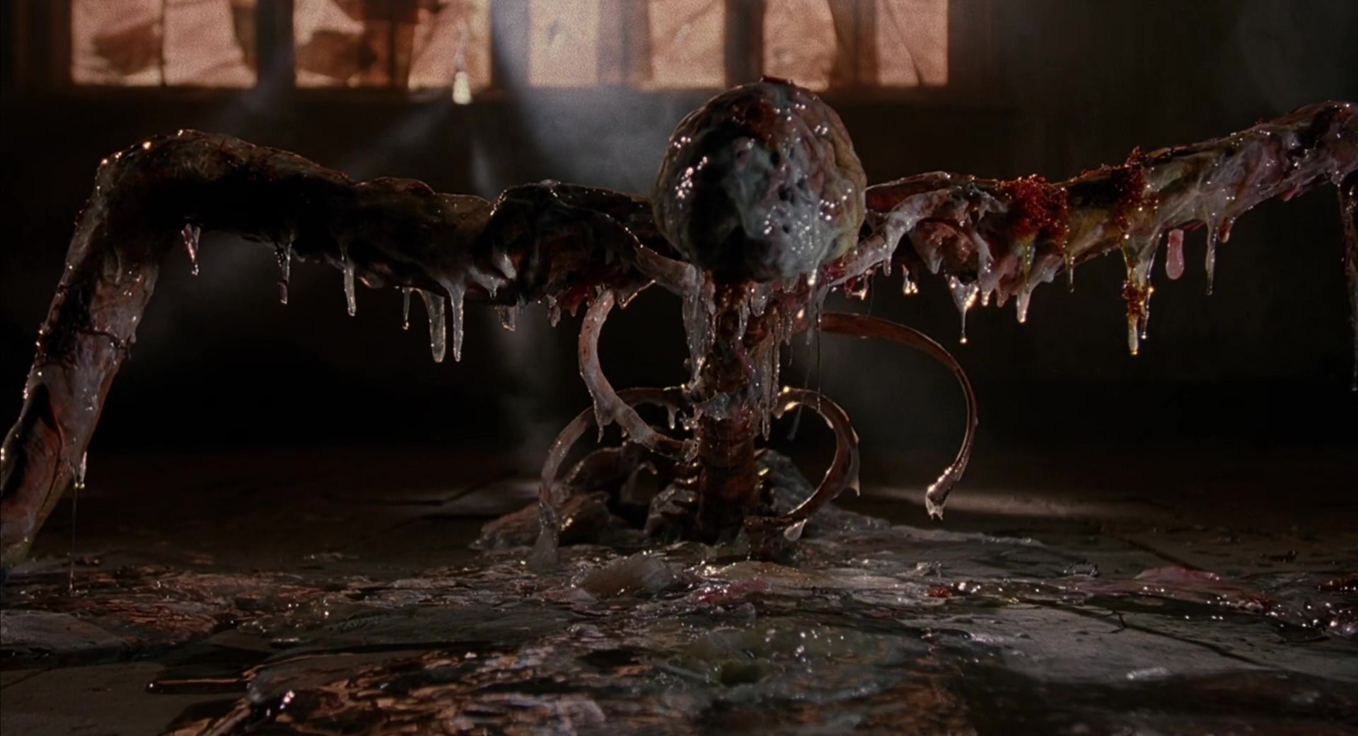 1987 养鬼吃人 Hellraiser.mkv_20250612_112841.997.jpg