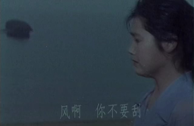 姑娘的心愿.The Girl's Wish.1981.DVD.X264.AAC.HALFCD.mkv_20250613_165450.721.jpg