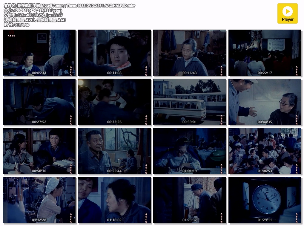 我在他们中间.Myself Among Them.1982.DVD.X264.AAC.HALFCD.mkv.jpg