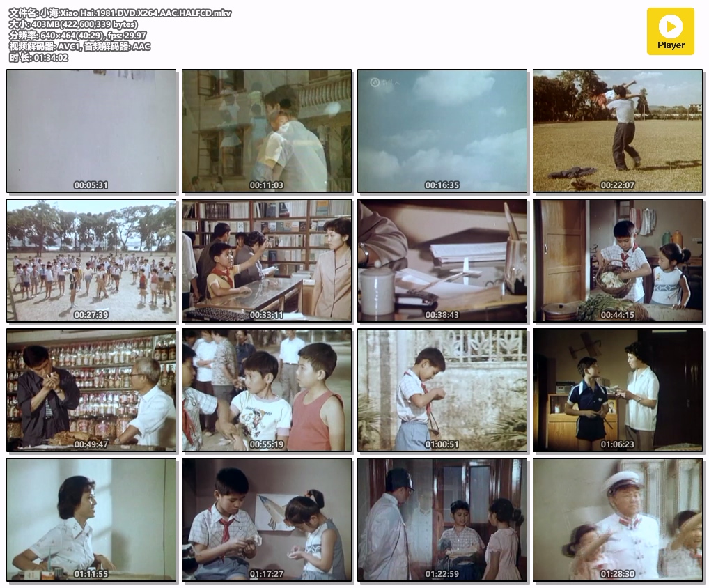 小海.Xiao Hai.1981.DVD.X264.AAC.HALFCD.mkv.jpg