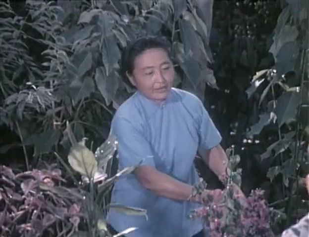 真没想到.It's Not Expected.1982.DVD.X264.AAC.HALFCD(0：-)-.mkv_20250613_181.jpg