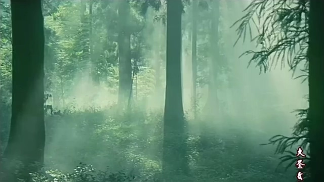 林中迷案.Lin Zhong Mi An.1984.DVD.X264.AAC.HALFCD.mkv_20250613_194305.356.jpg