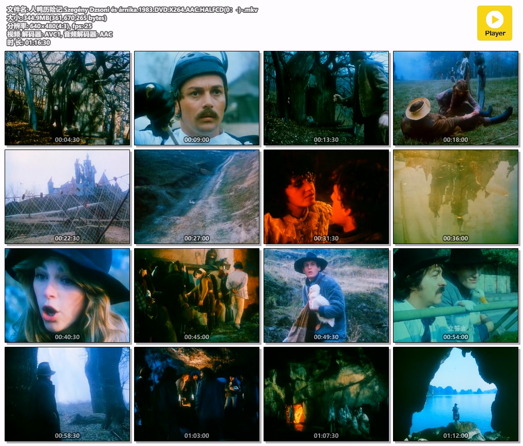 人鸭历险记.Szegény Dzsoni és árnika.1983.DVD.X264.AAC.HALFCD(0：-)-.mkv.jpg