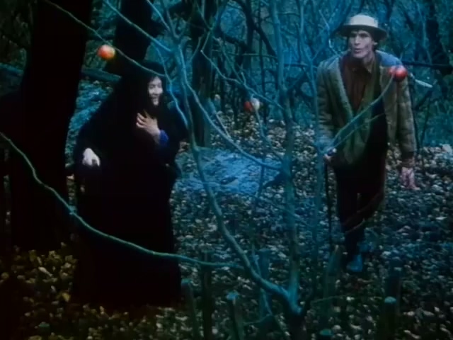 人鸭历险记.Szegény Dzsoni és árnika.1983.DVD.X264.AAC.HALFCD(0：-)-.mkv_20250.jpg