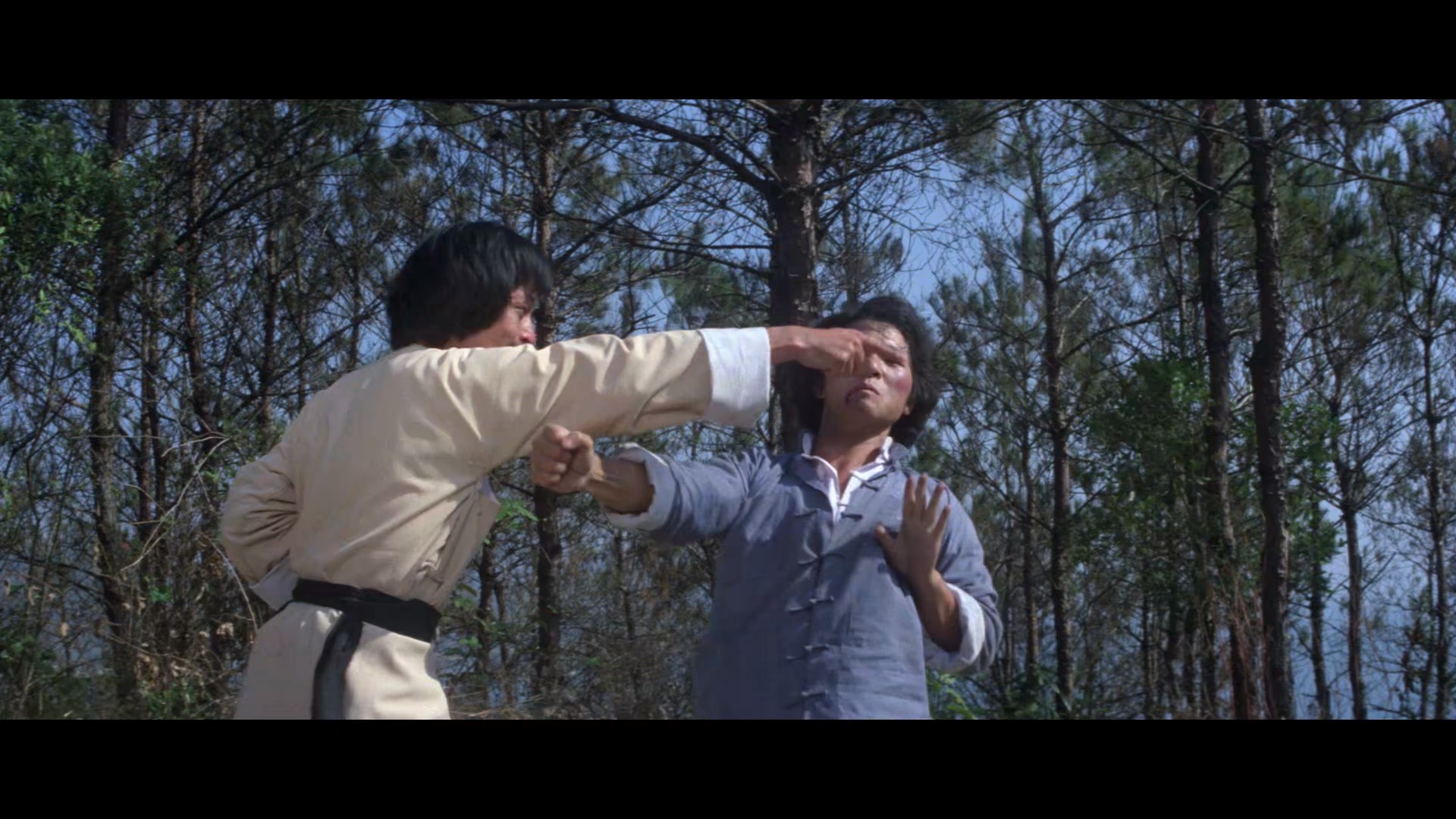 迷拳三十六招 1979 英尤里卡版 蓝光Remux 国语简繁中字 (1).mkv_20250614_100805.765.jpg