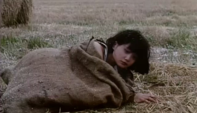 红樱桃.Red Cherry.1995.DVD.X264.AAC.mkv_20250614_175543.775.jpg