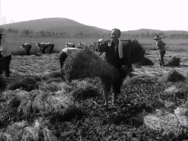 阿勇.A Yong.1975.DVD.X264.AAC.HALFCD.mkv_20250614_180427.645.jpg