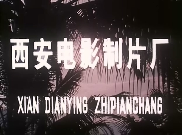 叛国者.A Traitor.1980.DVD.X264.AAC.HALFCD.mkv_20250615_215505.594.jpg