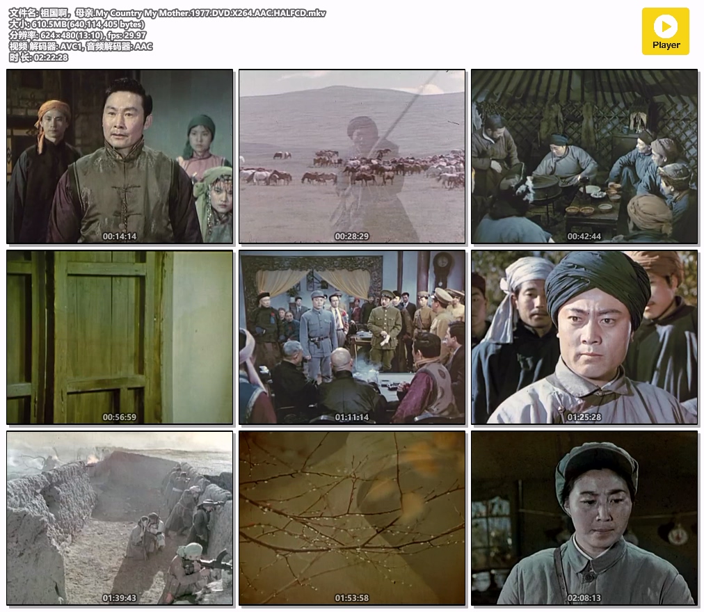祖国啊，母亲.My Country My Mother.1977.DVD.X264.AAC.HALFCD.mkv.jpg