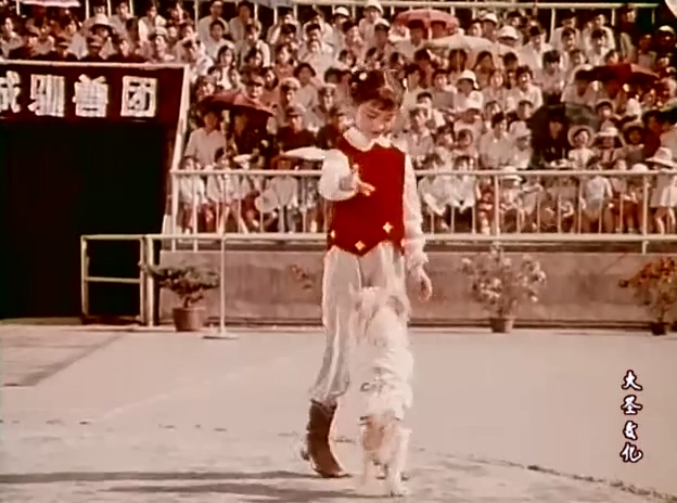 雪花和栗子球.The Dog Xuehua And The Bear Liziqiu.1980.DVD.X264.AAC.HALFCD.mkv_20.jpg