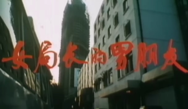 女局长的男朋友.The bureau heads boyfriend.1986.DVD.X264.AAC.HALFCD.mkv_20250616_.jpg