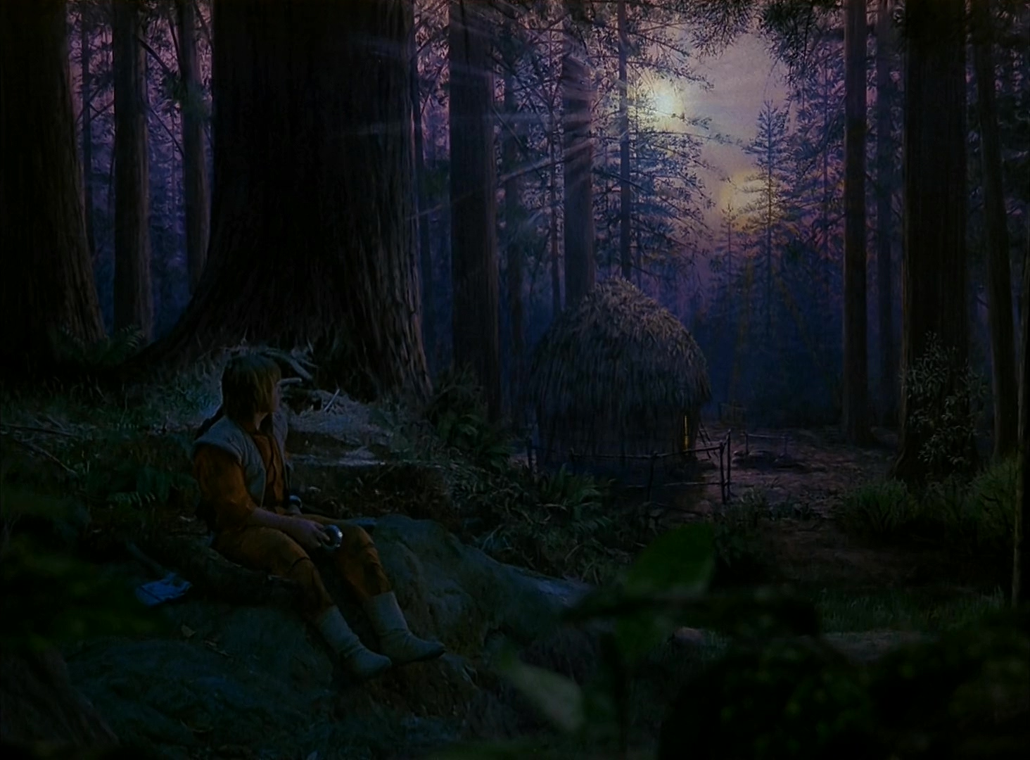 勇敢的马队：伊沃克人历险记.Caravan of Courage, An Ewok Adventure.1984.CN.mkv_202.jpg