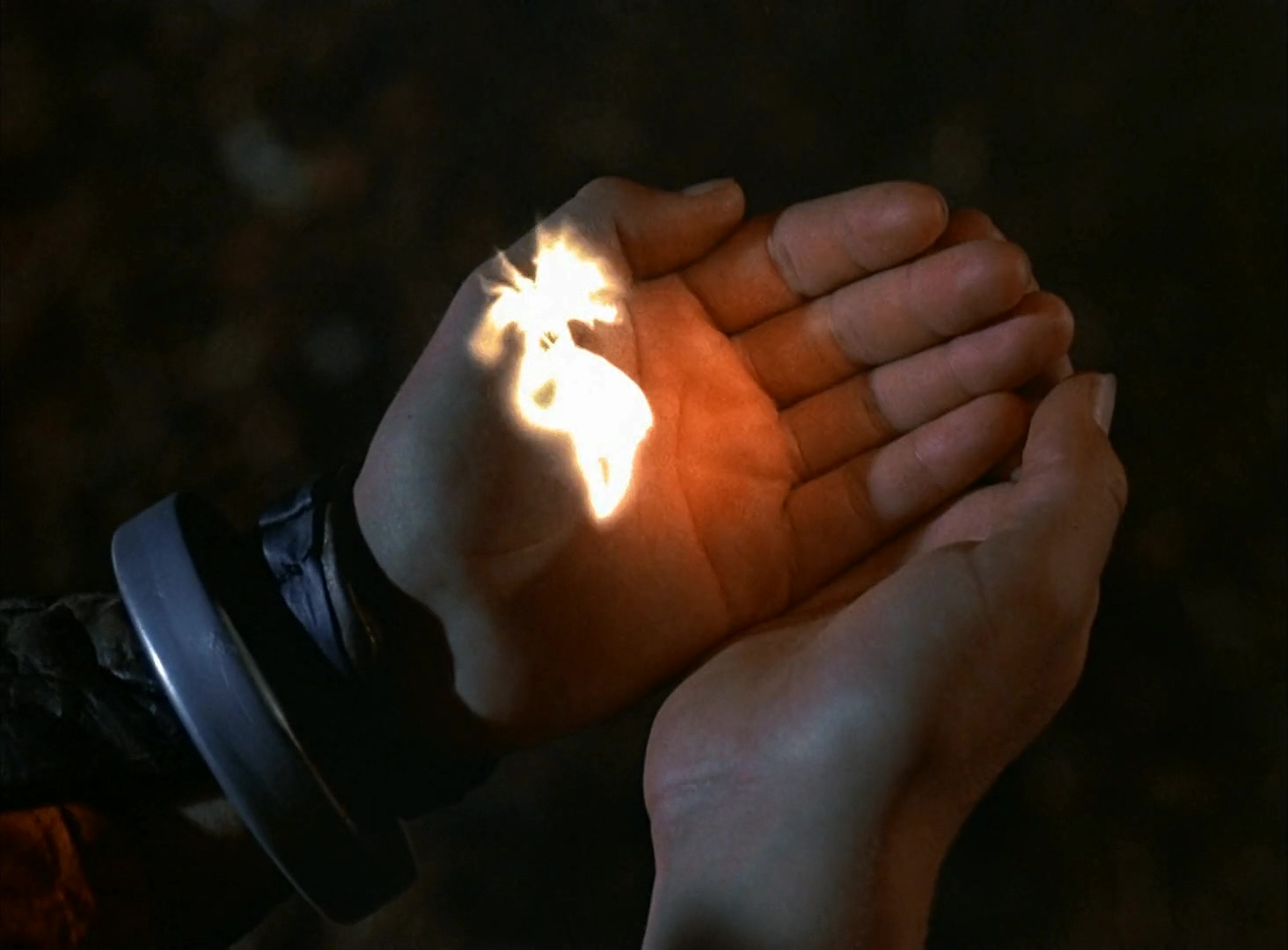 勇敢的马队：伊沃克人历险记.Caravan of Courage, An Ewok Adventure.1984.CN.mkv_202.jpg