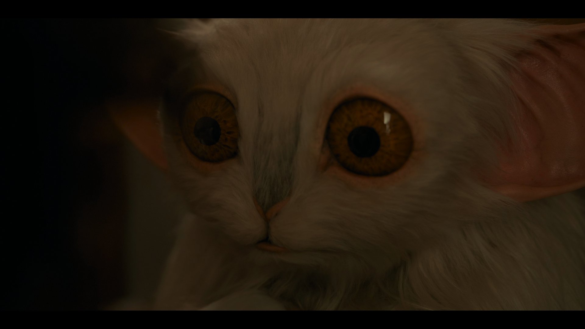 S00E01 - 星兽.mkv_002432.000.png