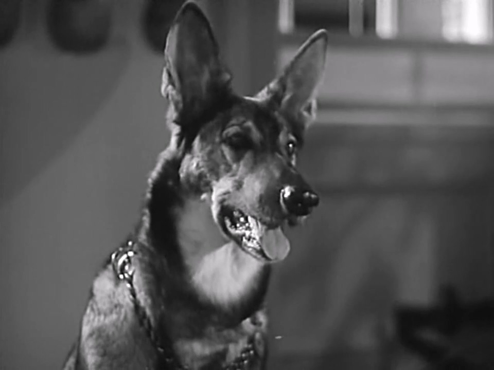 夜之眼 720p 1942.mp4_20250621_135528.990.jpg