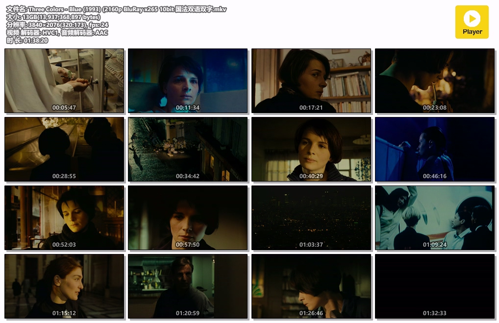 Three Colors - Blue (1993) (2160p BluRay x265 10bit 国法双语双字.mkv.jpg