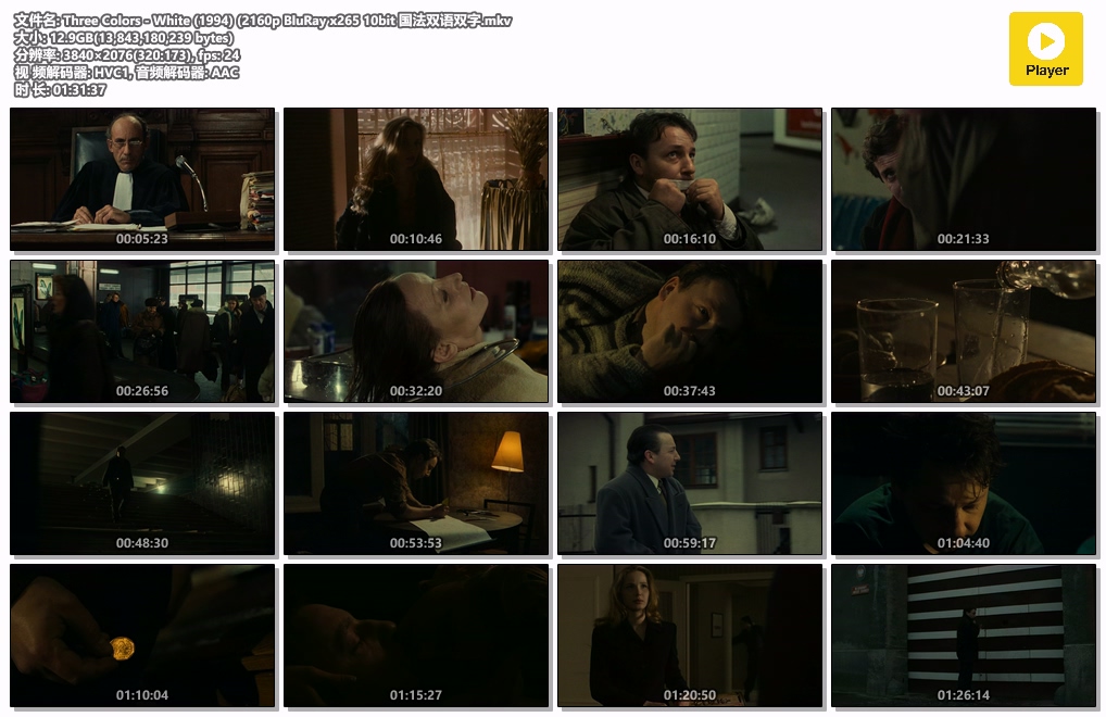 Three Colors - White (1994) (2160p BluRay x265 10bit 国法双语双字.mkv.jpg