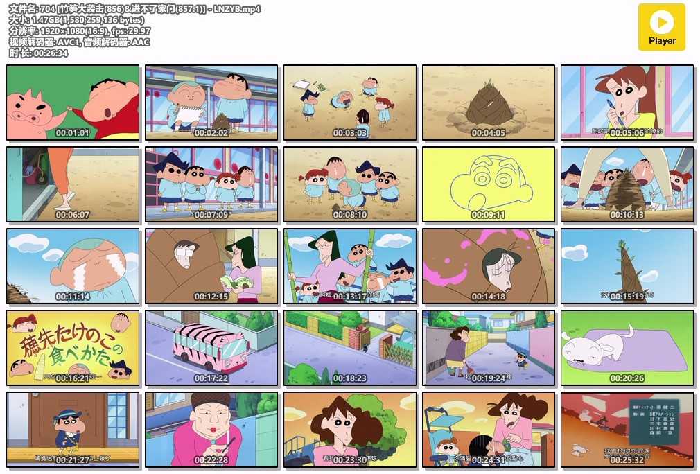 704 [竹笋大袭击(856)&进不了家门(857.1)]  - LNZYB.mp4.jpg