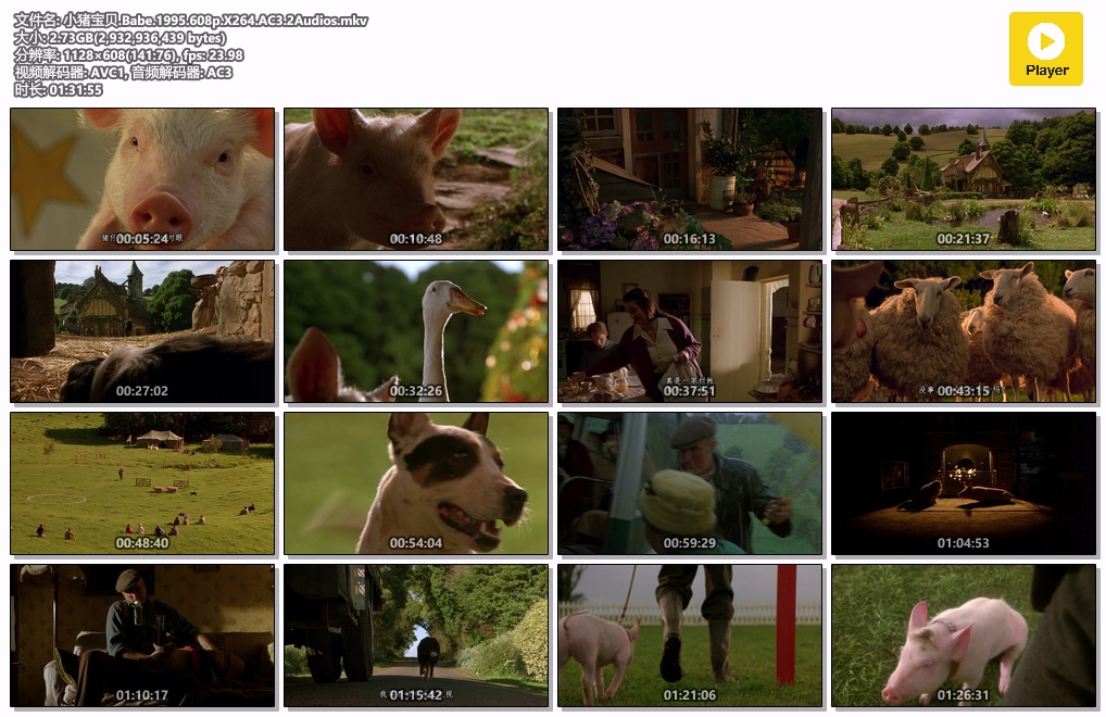 小猪宝贝.Babe.1995.608p.X264.AC3.2Audios.mkv.jpg