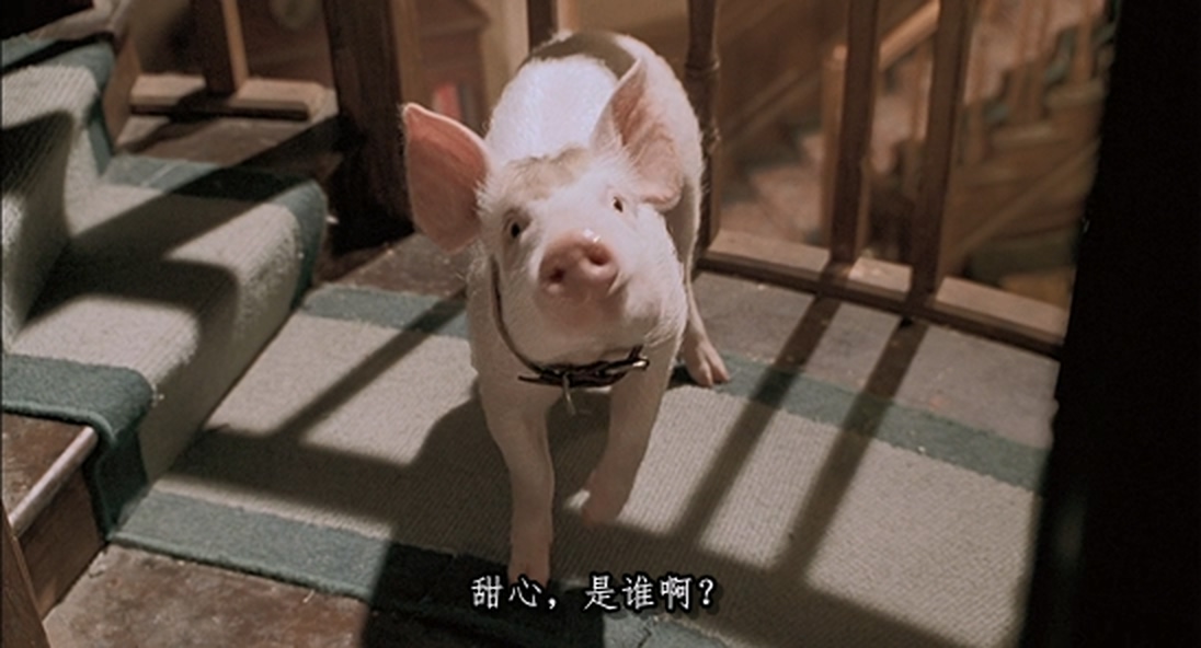 小猪宝贝2：小猪进城.Babe.Pig.in.the.City.1998.592p.X264.AC3.2Audios.mkv_20250625.jpg