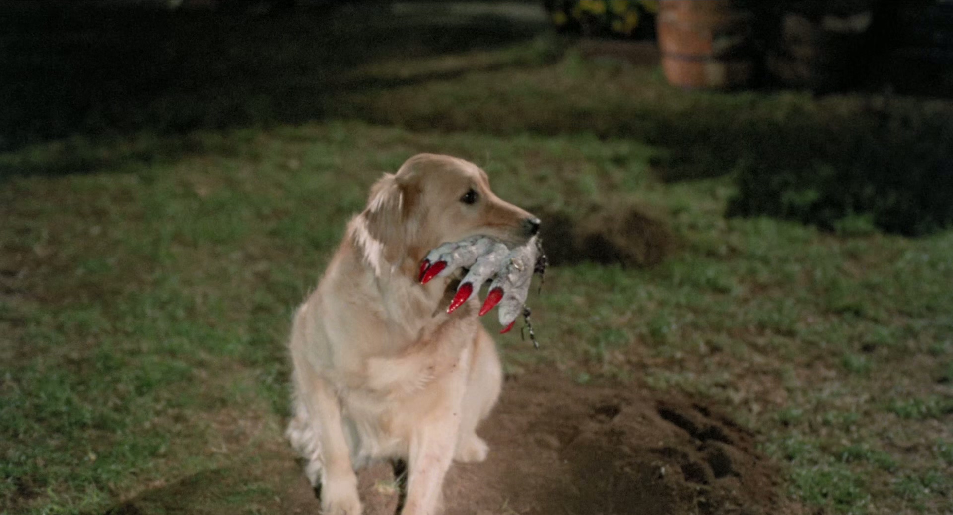 1985 夜半鬼敲门 1 House 1.mkv_20250626_010746.326.jpg