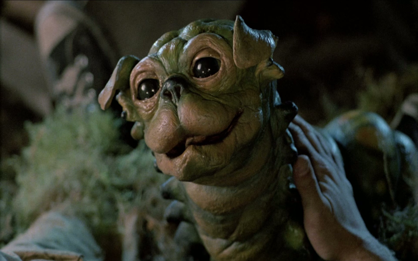 1987 夜半鬼敲门 2 House 2.mkv_20250626_020655.587.jpg