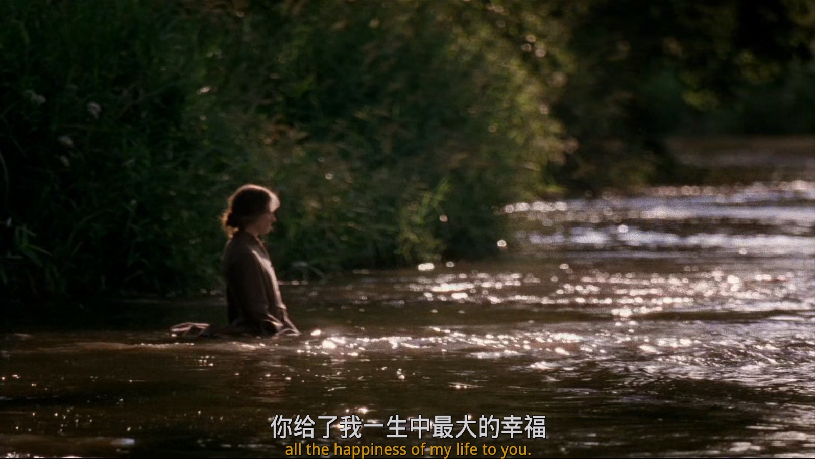 时时刻刻.The.Hours.2002.1080p.BluRay.x265-RARBG特效字幕.mkv_20250627_095913.395.jpg