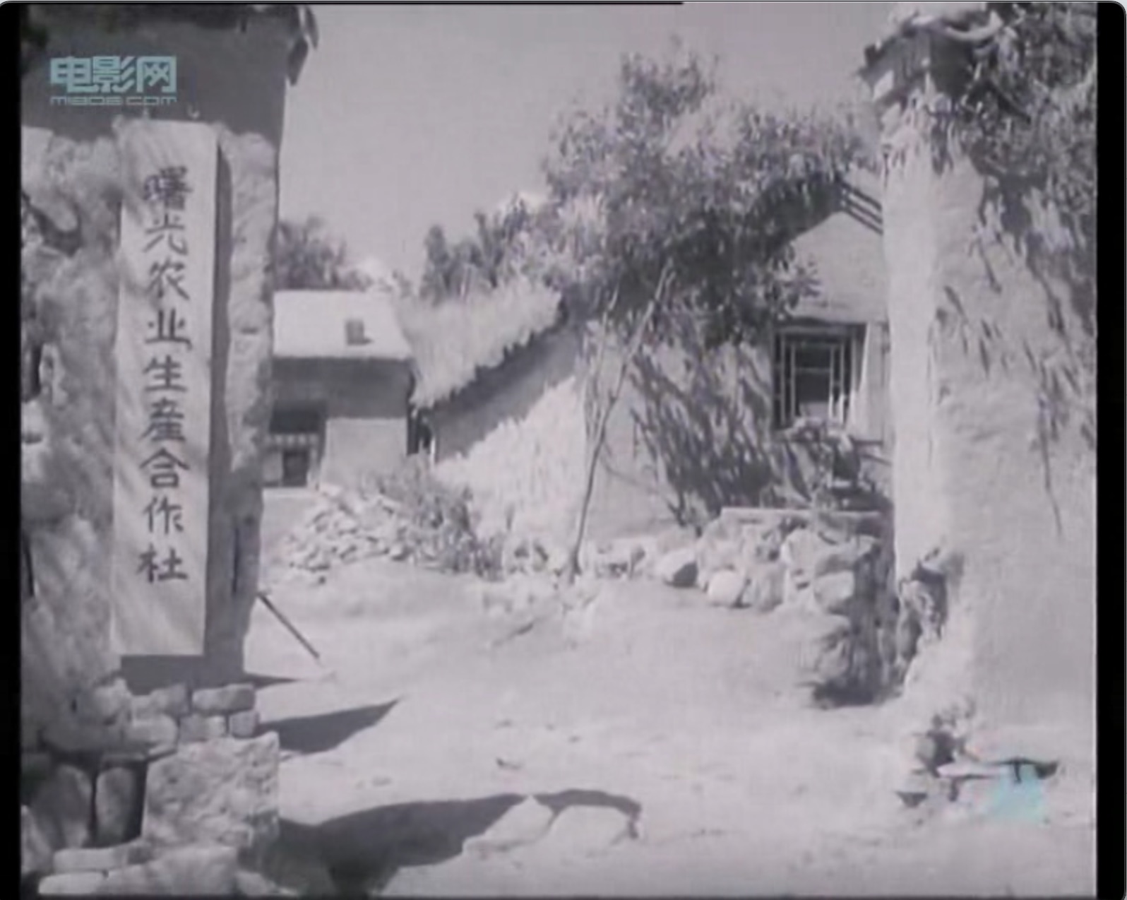 截屏2025-06-27 16.53.26.jpeg