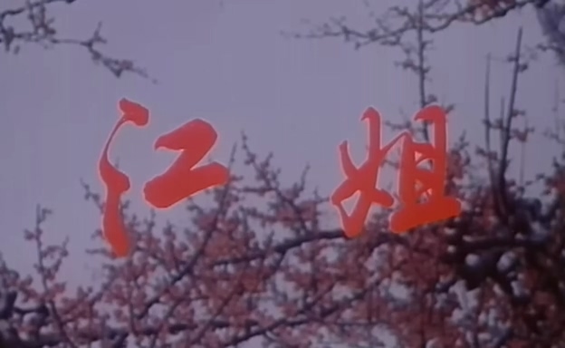 江姐.Sister Jiang.1978.DVD.X264.AAC.mkv_20250627_200140.664.jpg