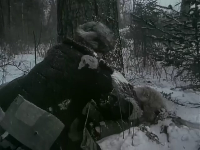 最后八个人.The Last Eight.1980.DVD.X264.AAC.HALFCD.mkv_20250627_200944.612.jpg