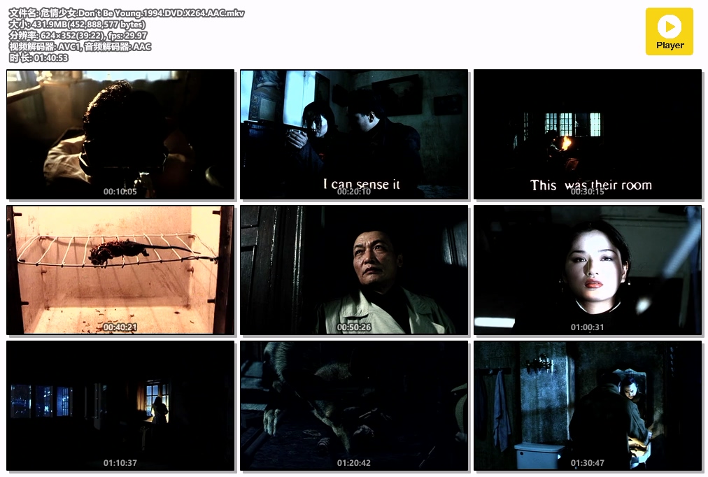 危情少女.Don't Be Young.1994.DVD.X264.AAC.mkv.jpg