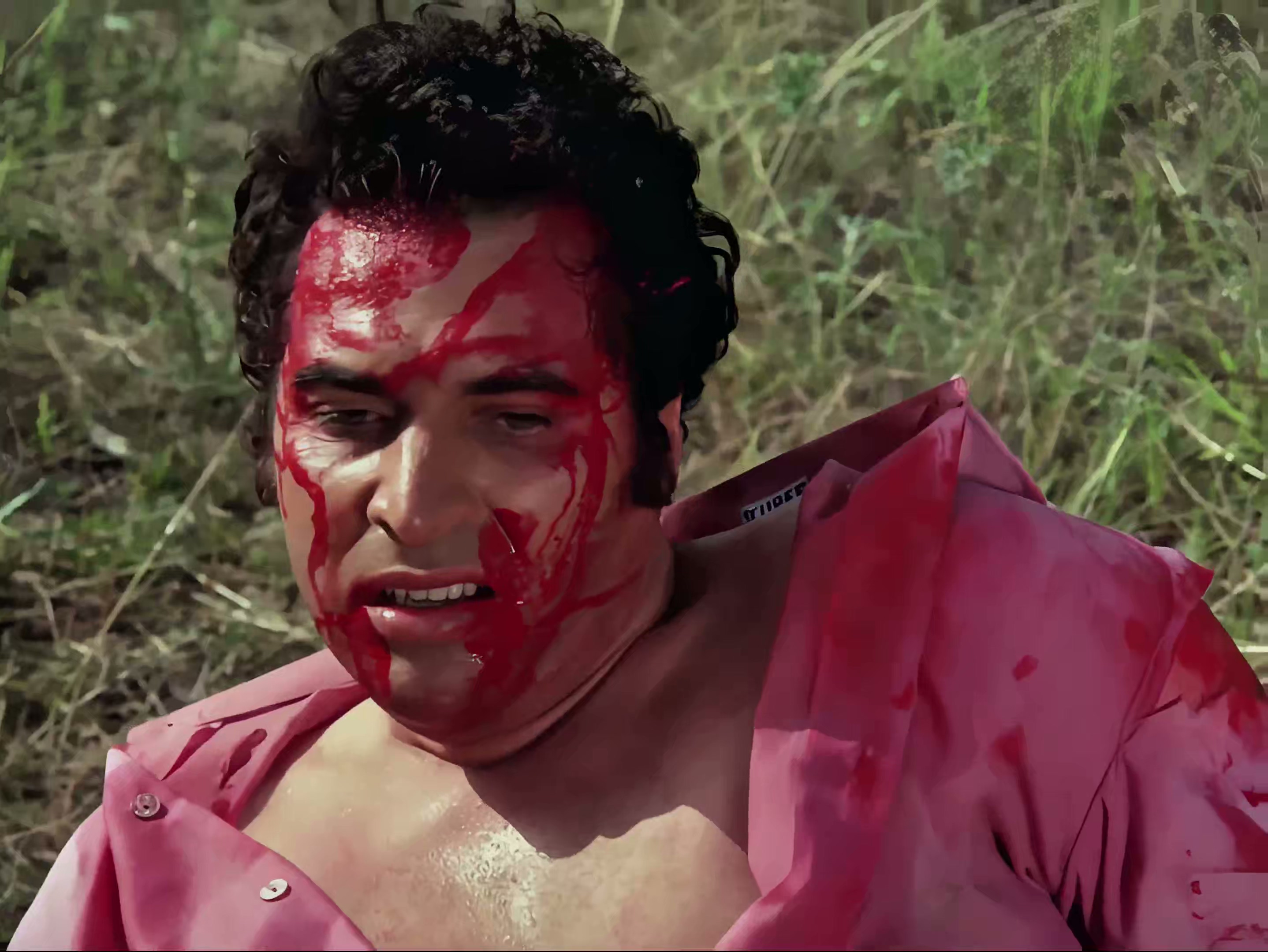 1971 大篷车.mkv_20250627_121517.660.jpg